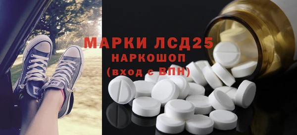 индика Баксан