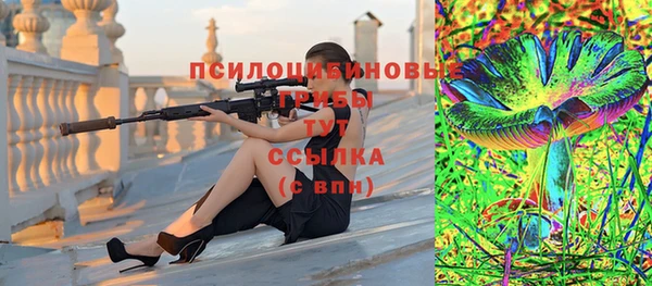 крисы Армянск