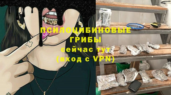 крисы Армянск