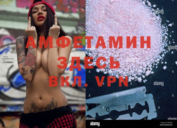 крисы Армянск