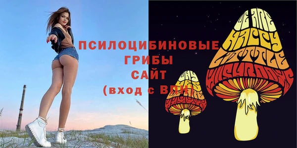 амф Балахна